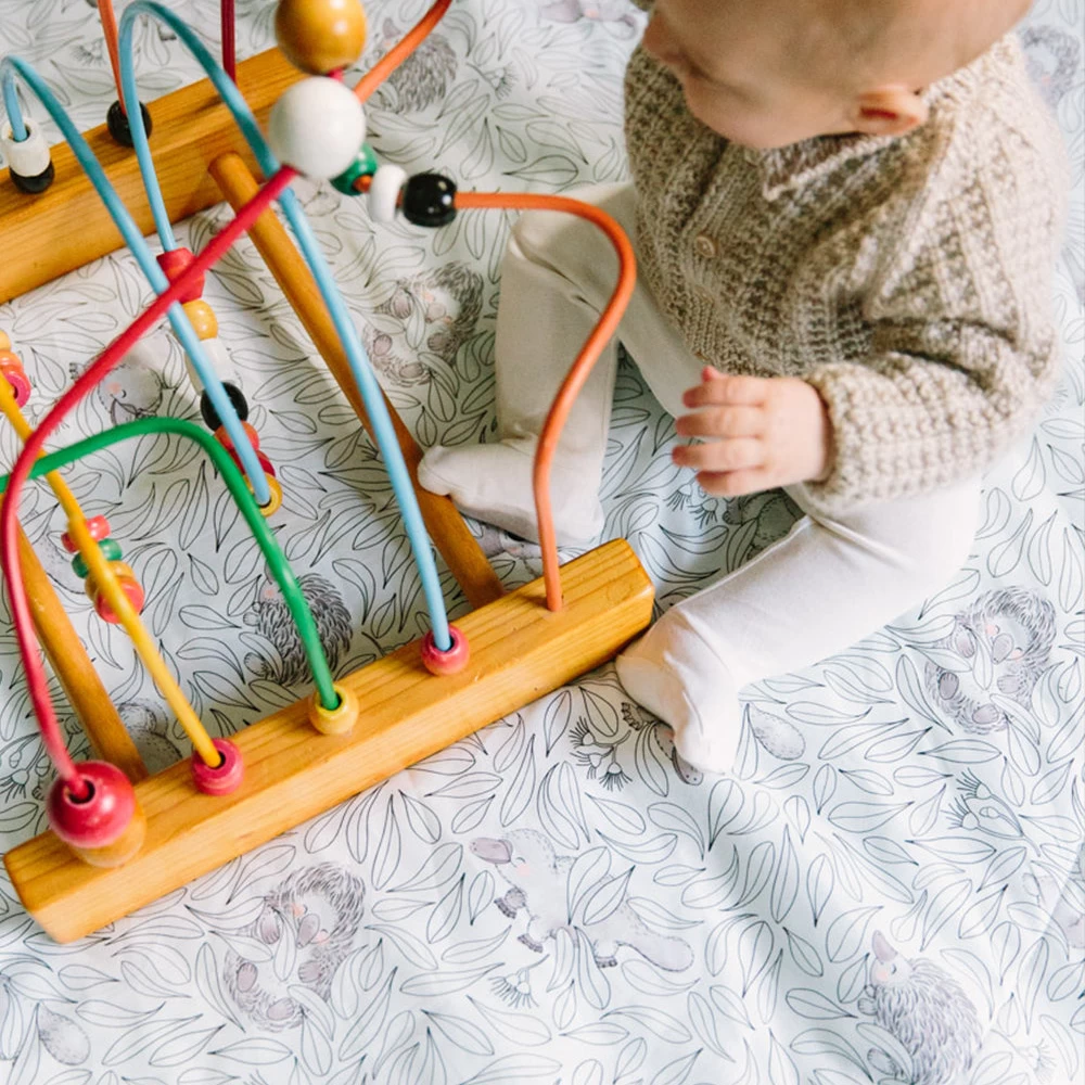 zoom